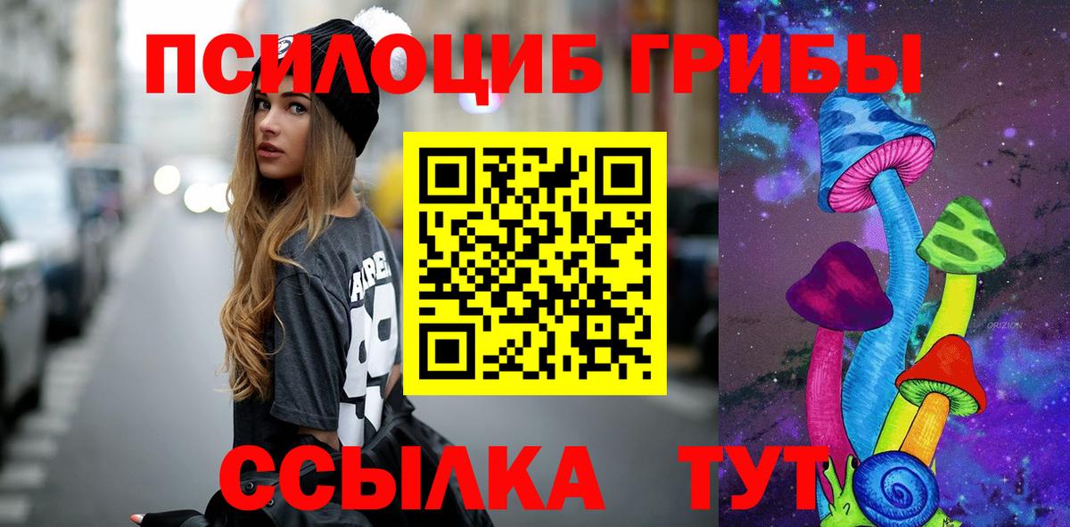 Галлюциногенные грибы Psilocybine cubensis  сколько стоит  Улан-Удэ  Галлюциногенные грибы MAGIC MUSHROOMS  Вход с VPN 